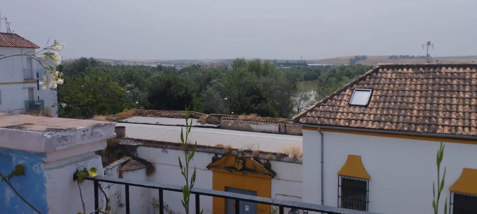 شقة My Andalusian Passion Mi Pasion Andalusi قرطبة 0*,